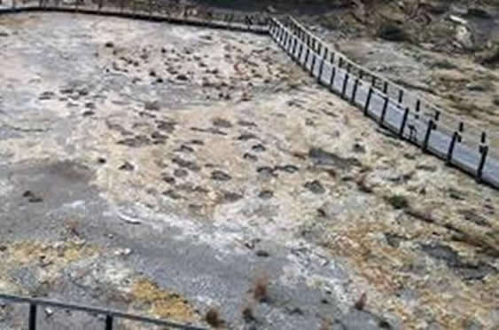 Dinosaur tracks at Clayton Lake State Park